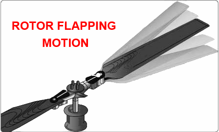 rotor_flapping_motion.png